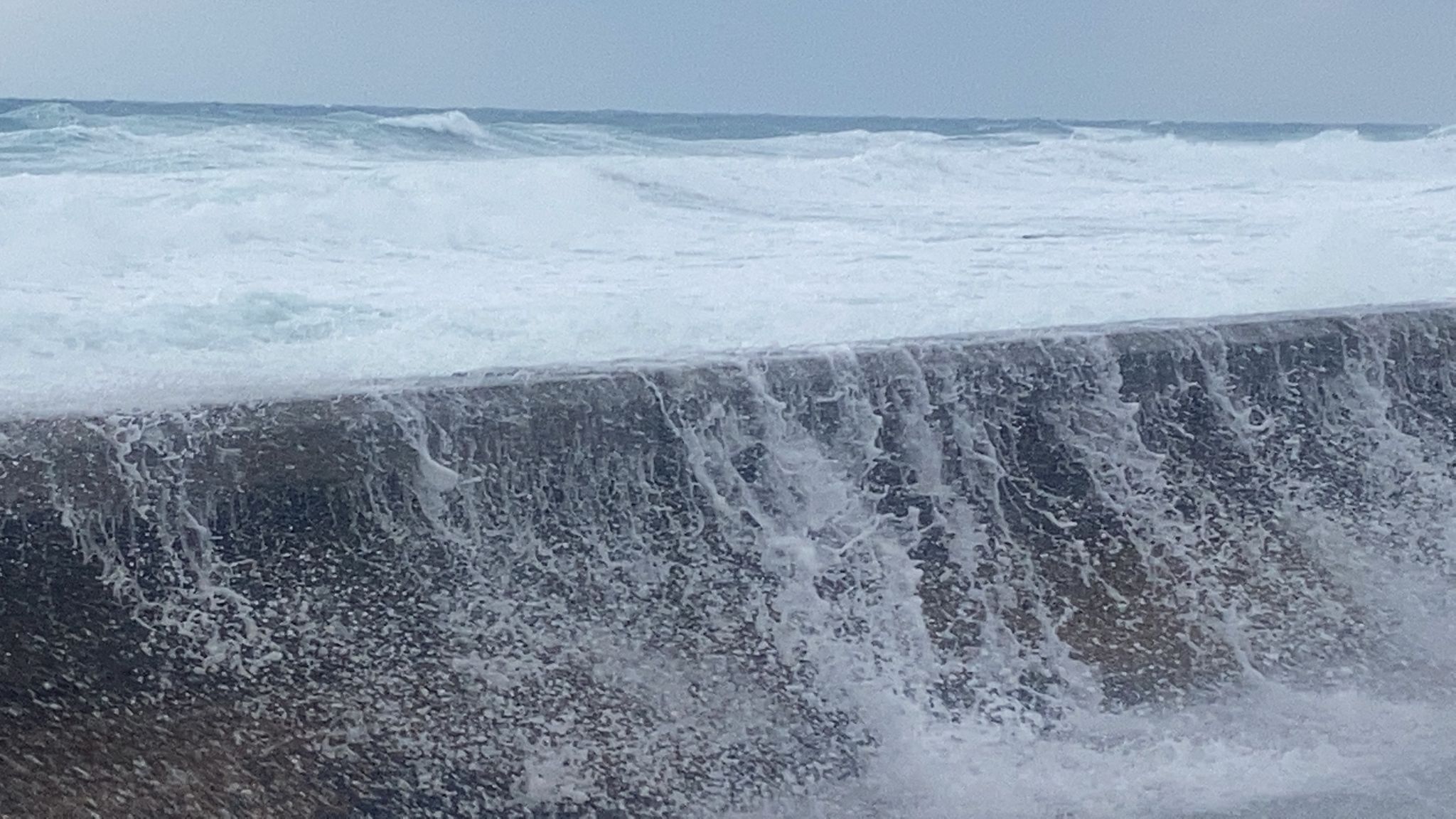 WhatsApp Image 2021-12-20 at 2.02.28 PM.jpeg